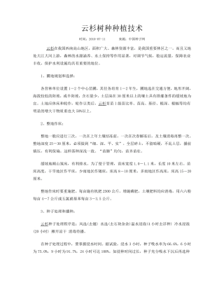 云杉树种种植技术