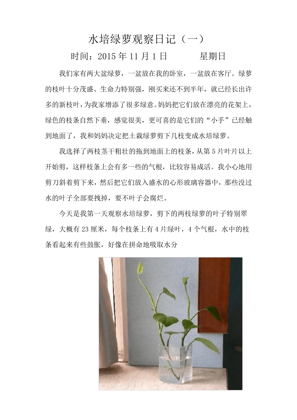 五一班水培绿萝观察日记_第2页