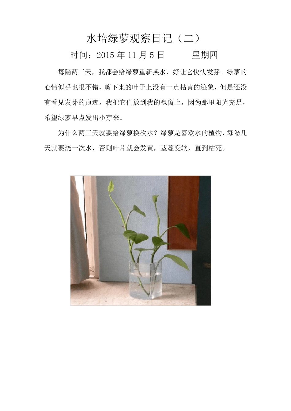 五一班水培绿萝观察日记_第3页