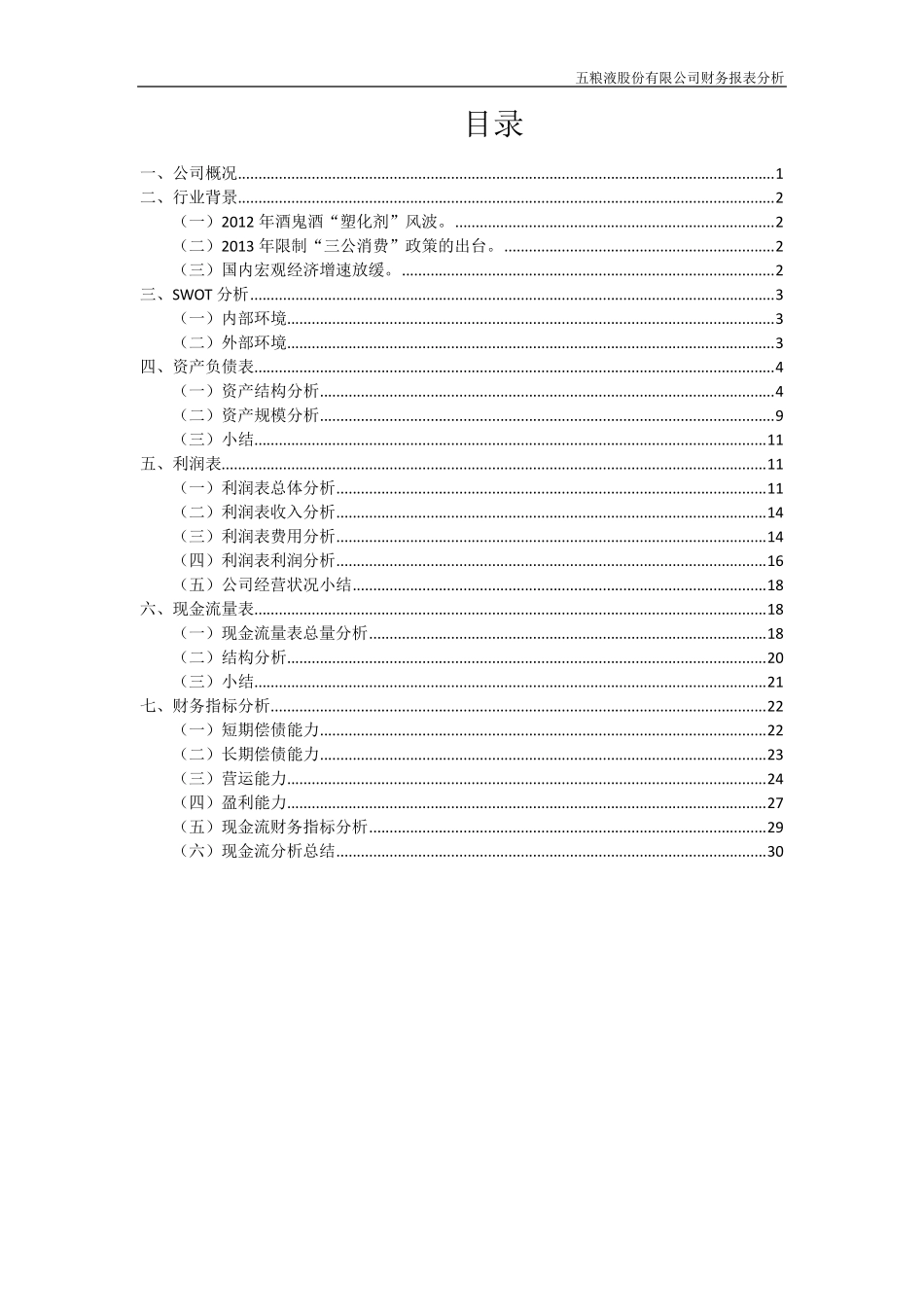 五粮液财务报表分析_第2页