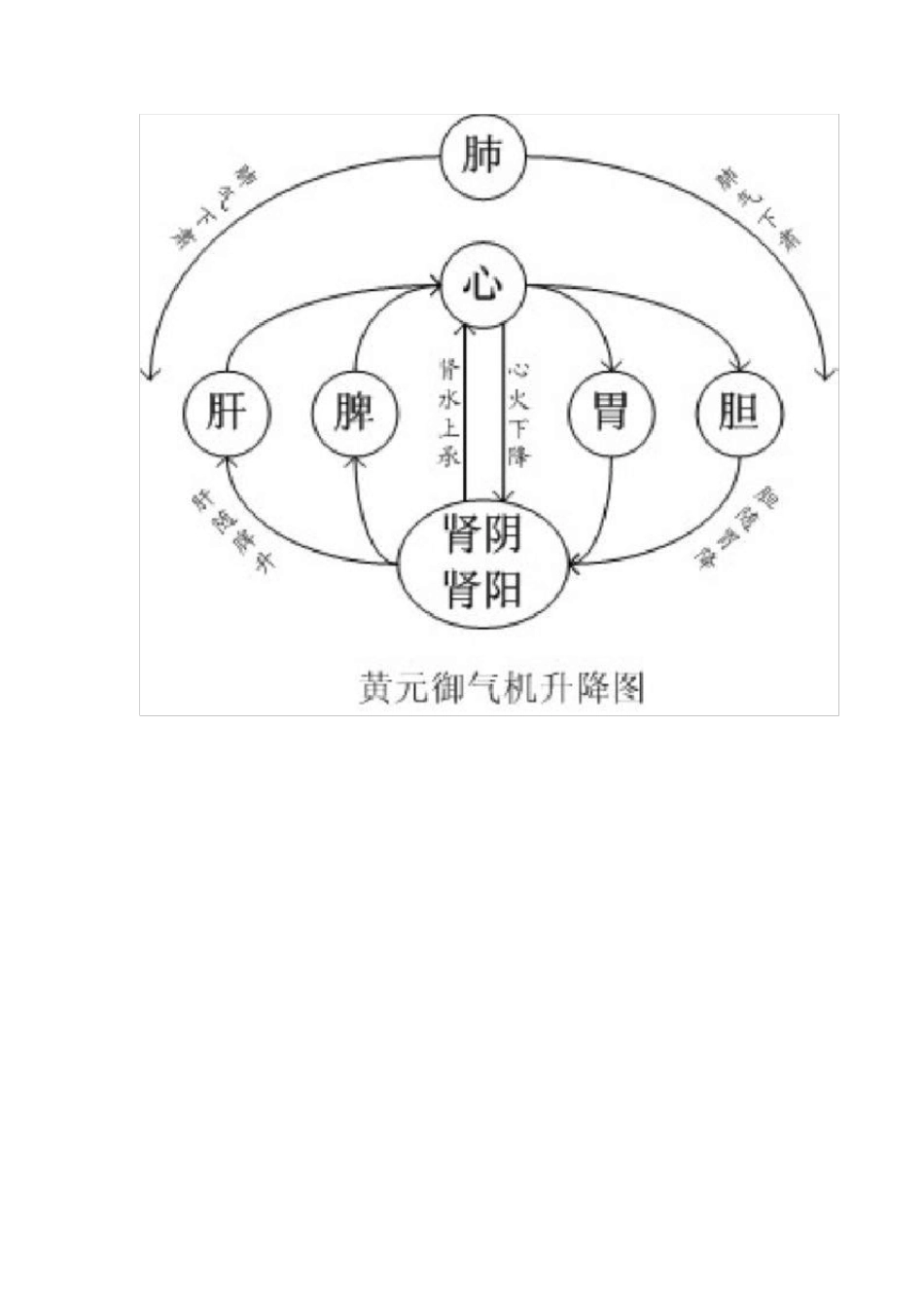 五脏六腑位置图_第2页