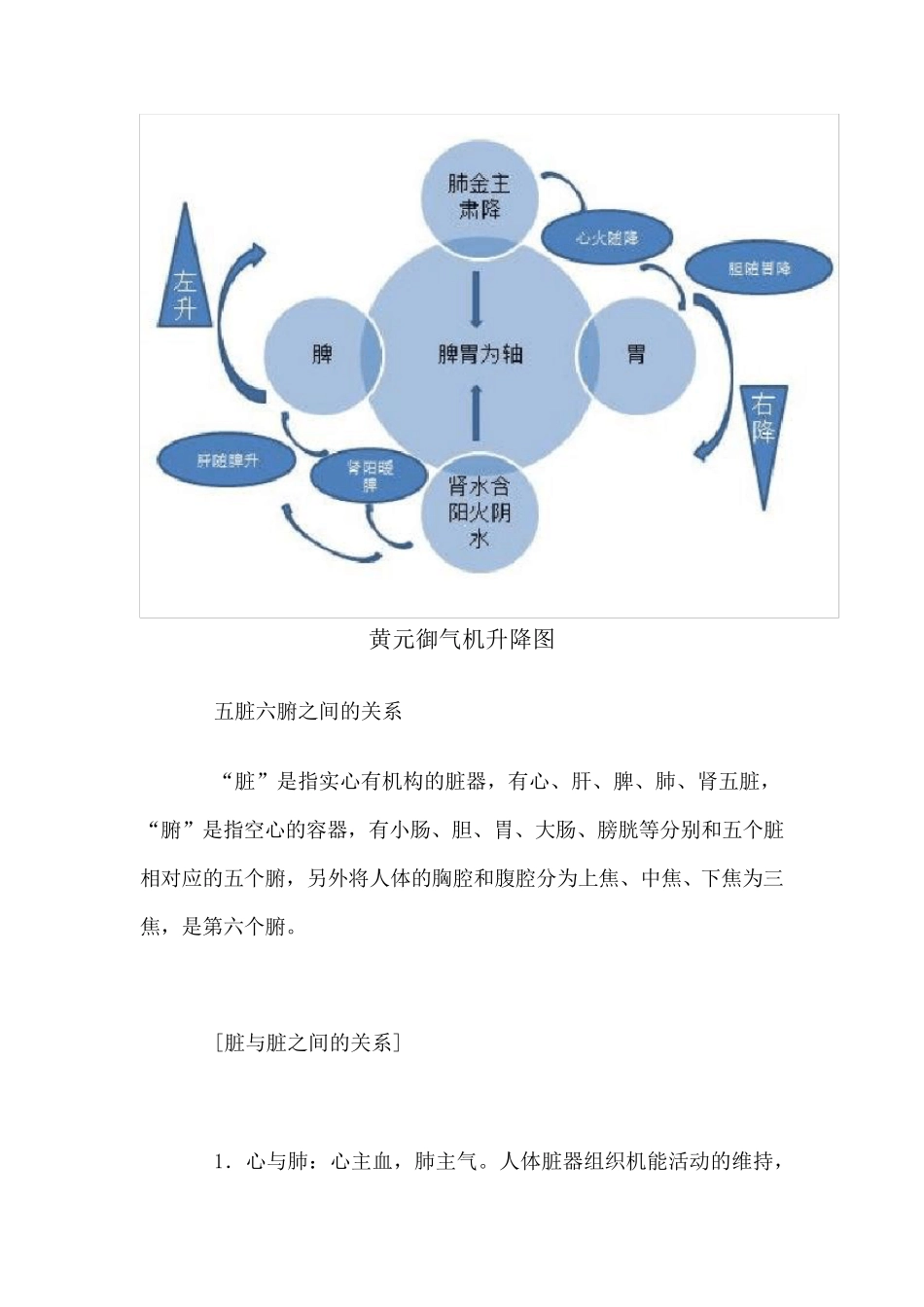 五脏六腑位置图_第3页