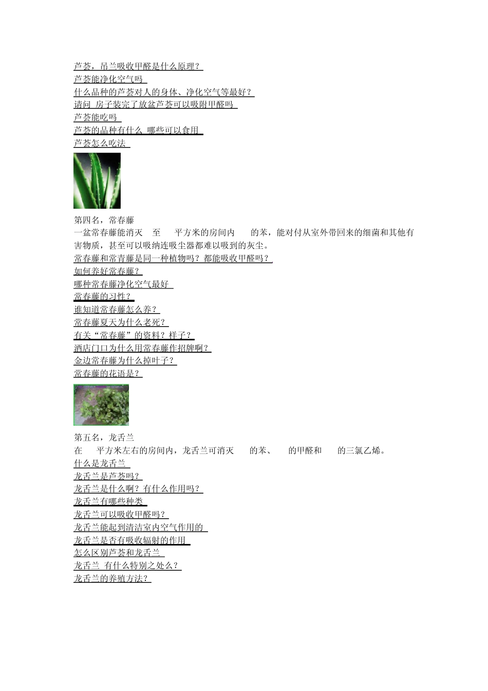 净化空气的植物排行榜_第2页