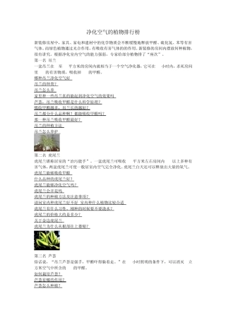 净化空气的植物排行榜