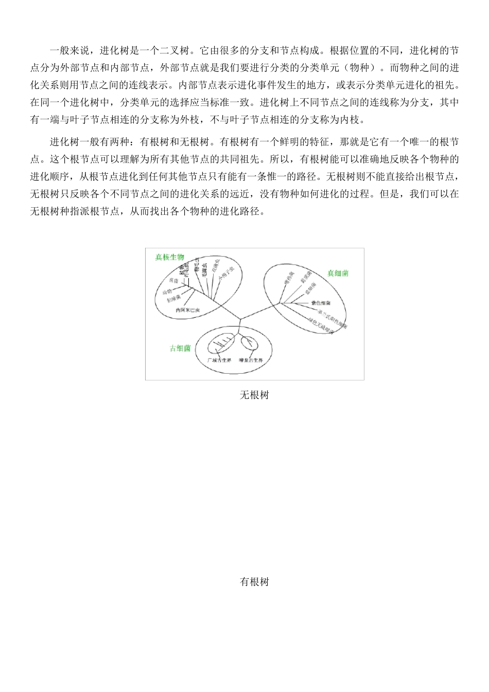 几款软件构建生物进化树的方法比较_第3页
