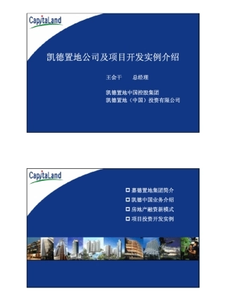 凯(嘉)德置地投资开发项目案例分析(28页pdf)