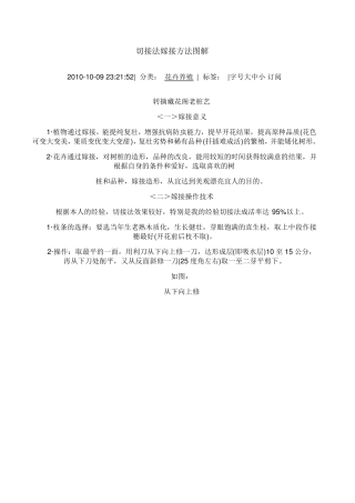 切接法嫁接方法图解