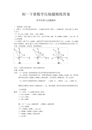 初一下册数学压轴题精练答案