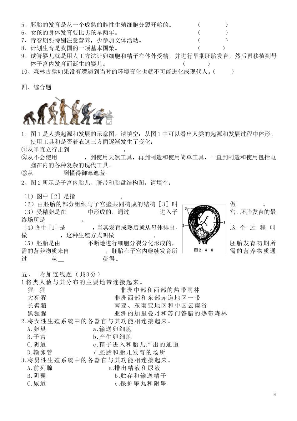 初一下册生物测试题_第3页