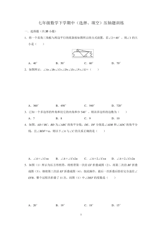 初一数学下学期中(选择、填空)压轴题训练(含解析)