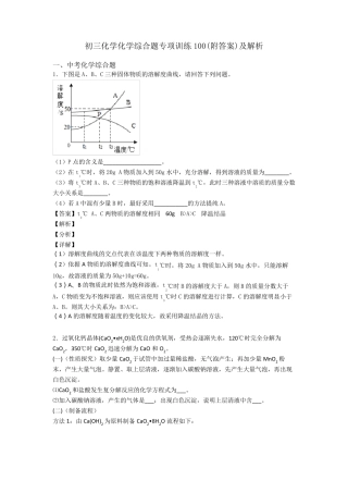 初三化学化学综合题专项训练100及解析