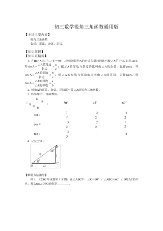 初三数学锐角三角函数通用版