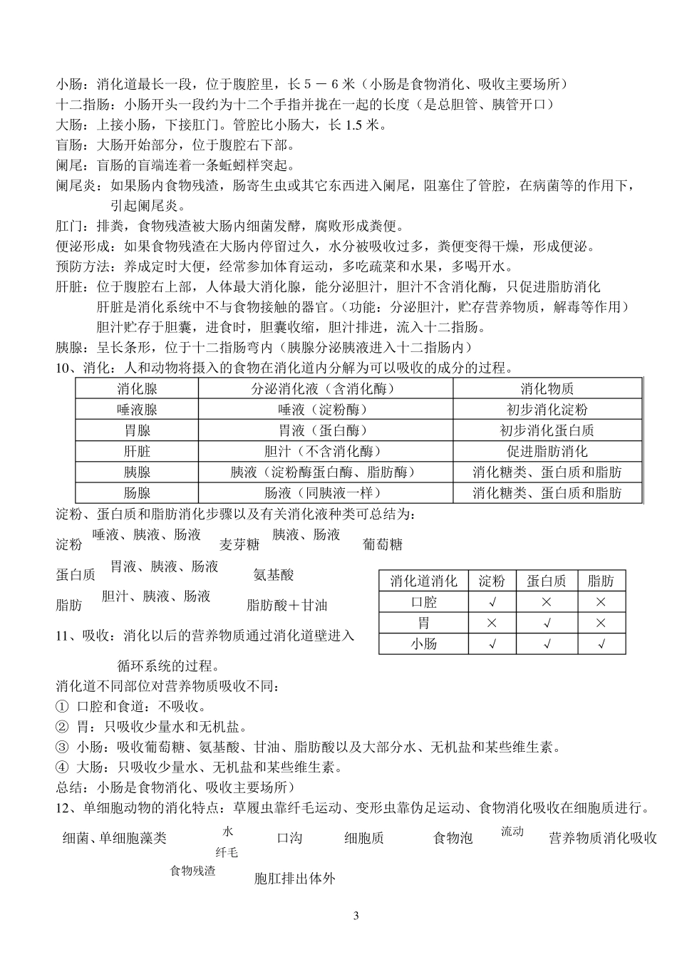 初三生物总复习资料_第3页