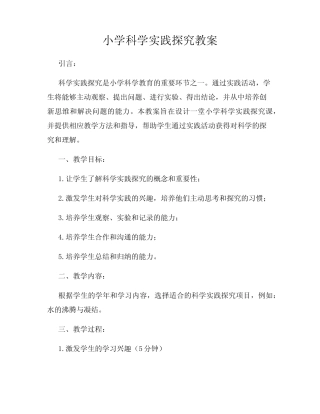 小学科学实践探究教案
