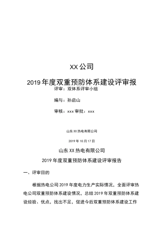 双体系建设年度评审报告