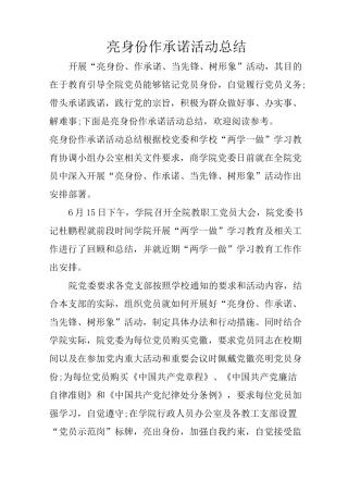 亮身份作承诺活动总结