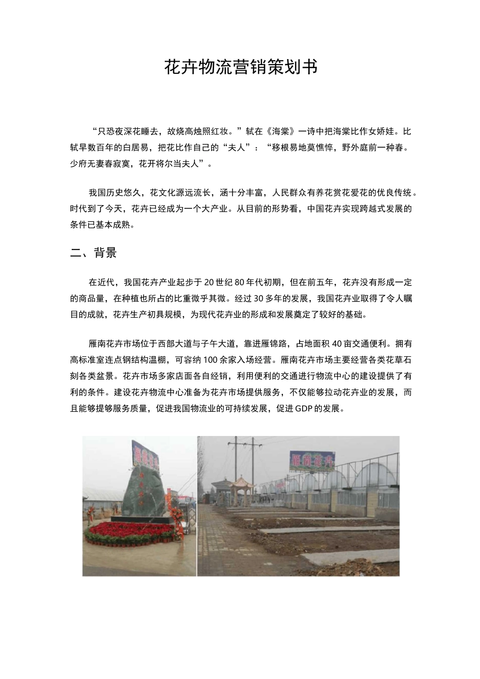 花卉物流营销项目策划书_第1页