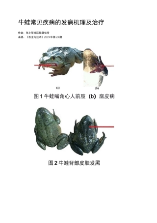 牛蛙常见疾病的发病机理及治疗