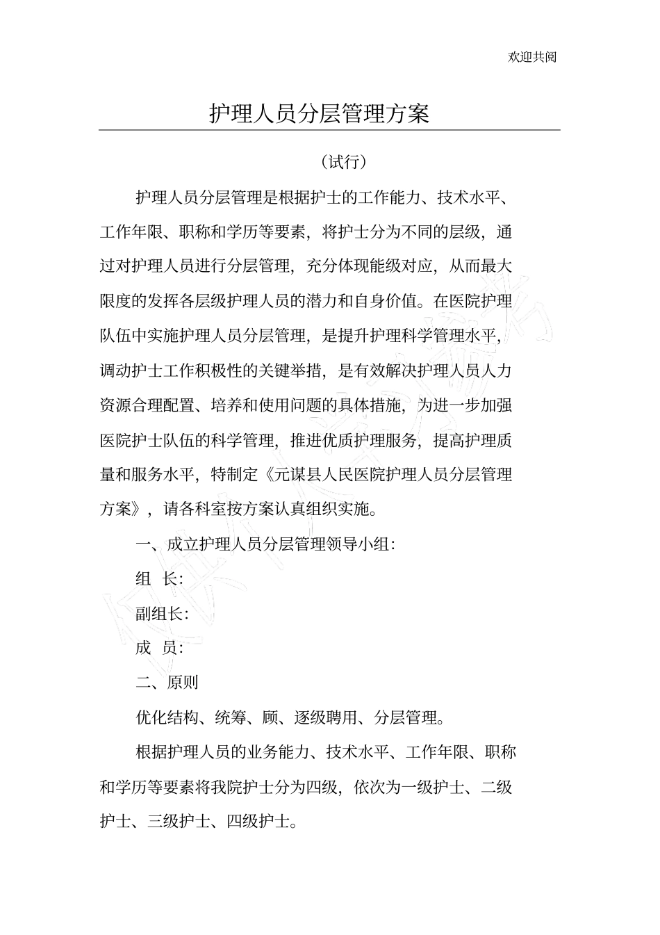 护理人员分层管理方案2017_第1页