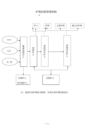 护理管理组织架构