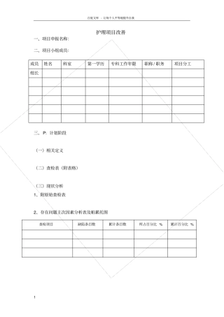 护理项目改善模板