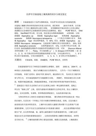 拉萨甘曲湿地土壤真菌的初步分离及鉴定汇总