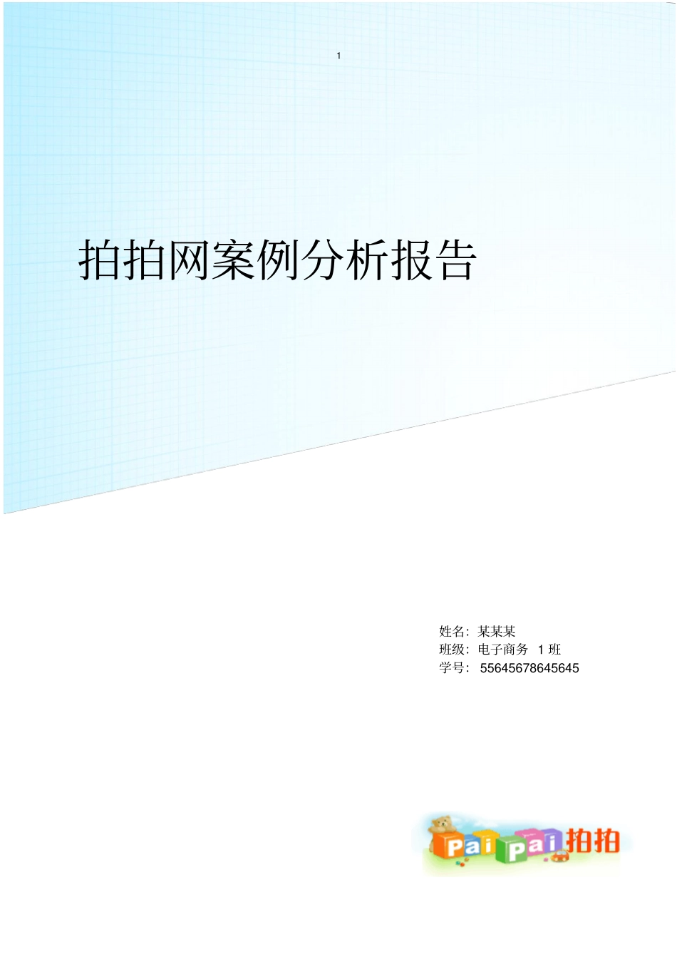 拍拍网案例报告讲解_第1页