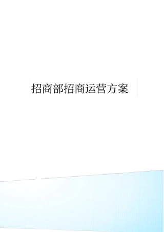 招商部招商运营方案