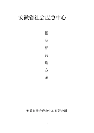 招商部门管理方案与计划范文