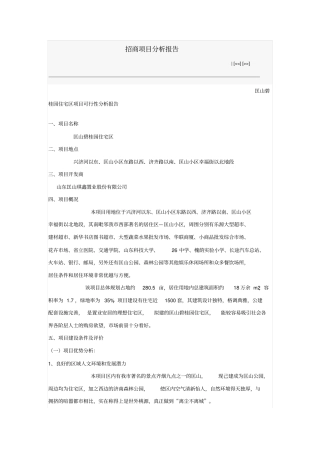 招商项目分析报告