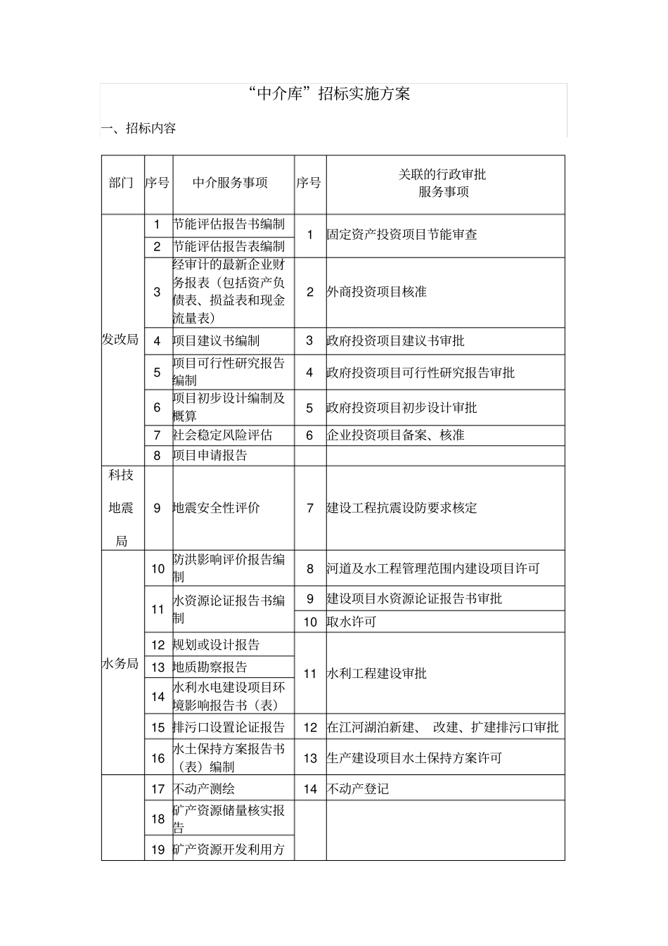 招标实施方案_第1页