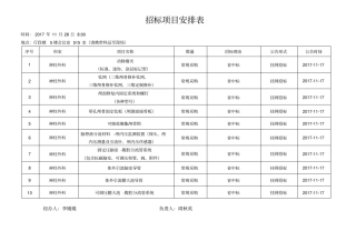 招标项目安排表