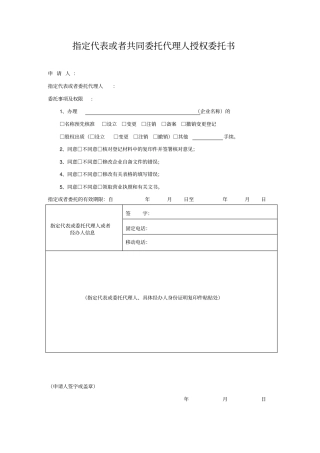 指定代表或者共委托代理人授权委托书