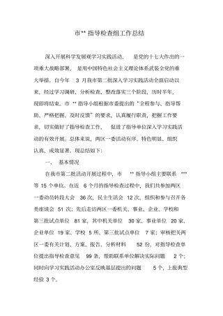 指导检查组工作总结1