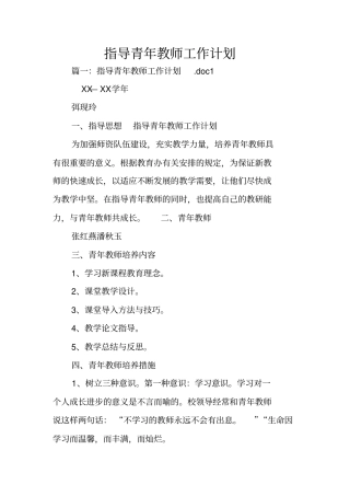 指导青年教师工作计划