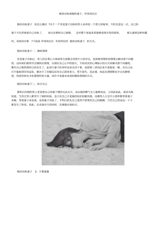 挽回出轨离婚的妻子