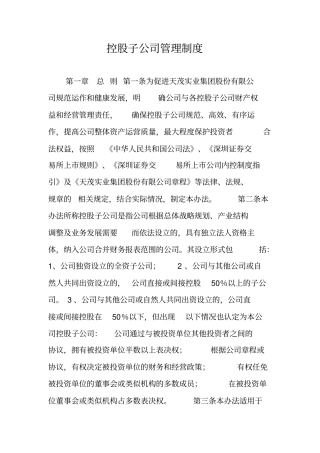 控股子公司管理制度