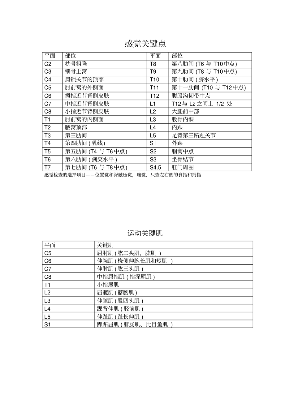 推荐截瘫评定量表_第2页