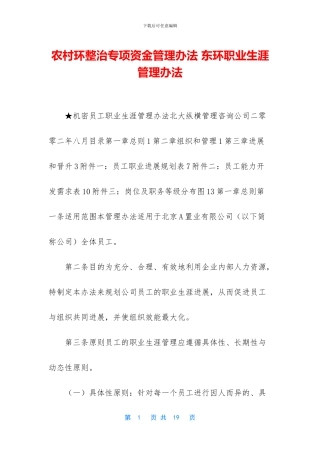 农村环整治专项资金管理办法-东环职业生涯管理办法