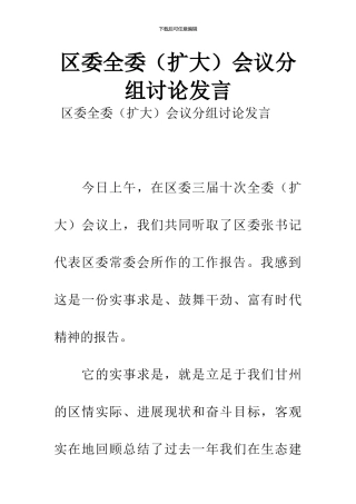 区委全委会议分组讨论发言