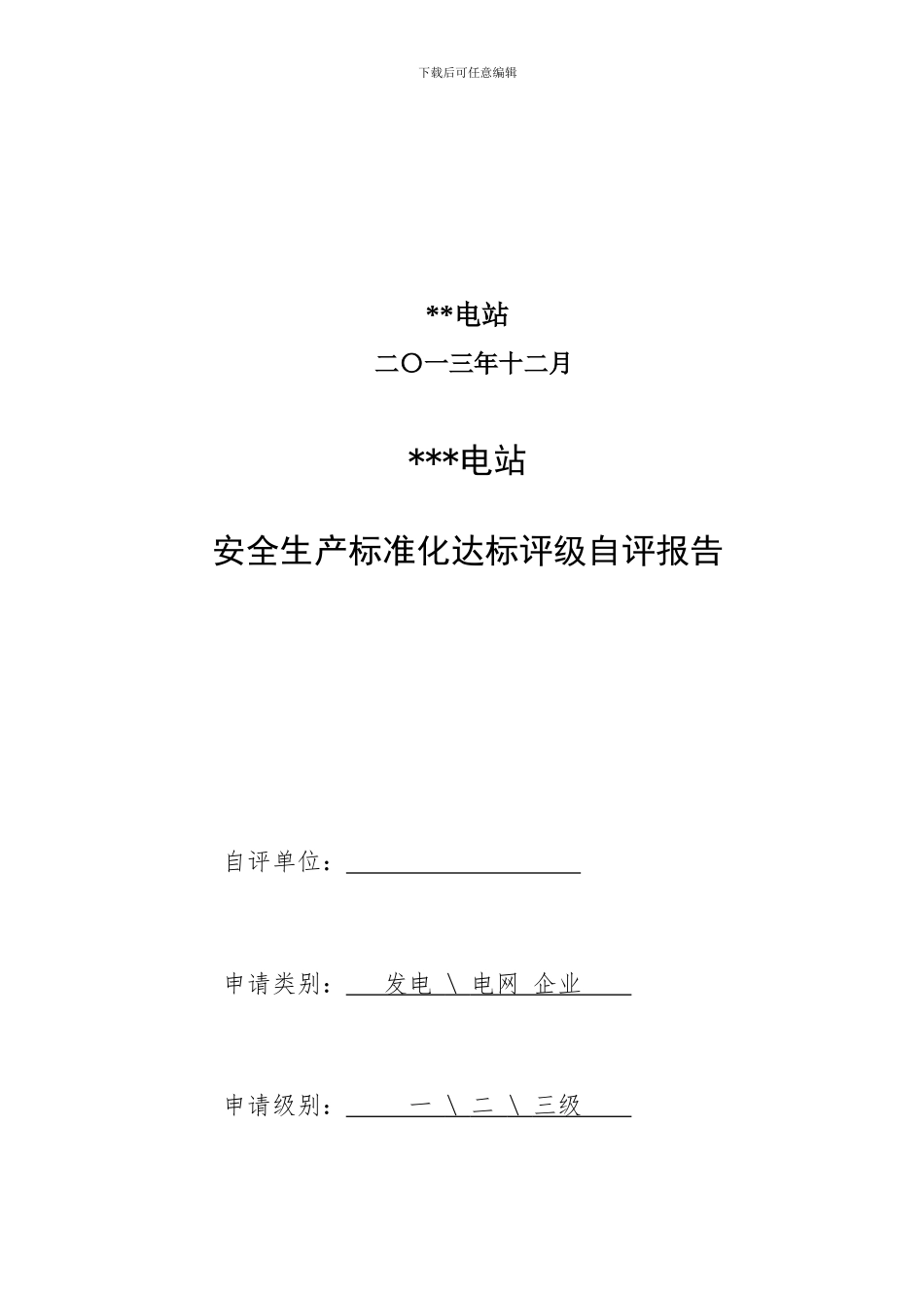 发电厂安全生产标准化达标评级自评报告样式._第2页