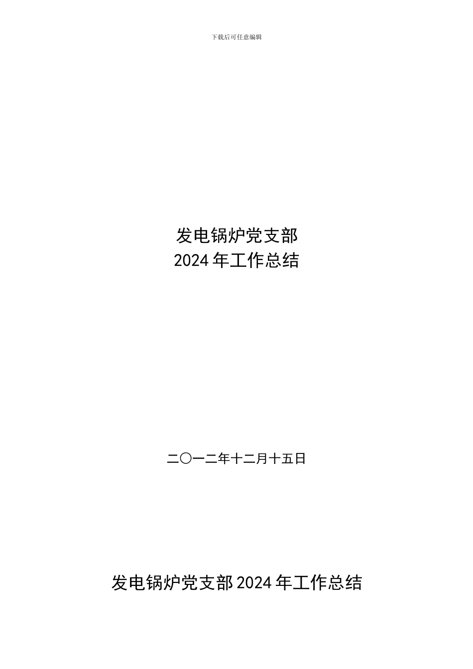 发电锅炉党支部2024年工作总结_第1页