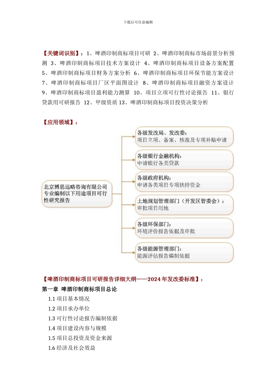 啤酒印制商标项目可行性研究报告评审方案设计_第2页