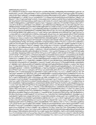 国际货物运输委托代理合同