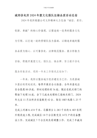 城郊供电所2024年塑文化强队伍铸品质活动总结
