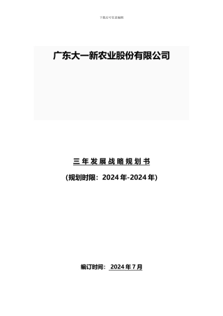大一新公司战略计划