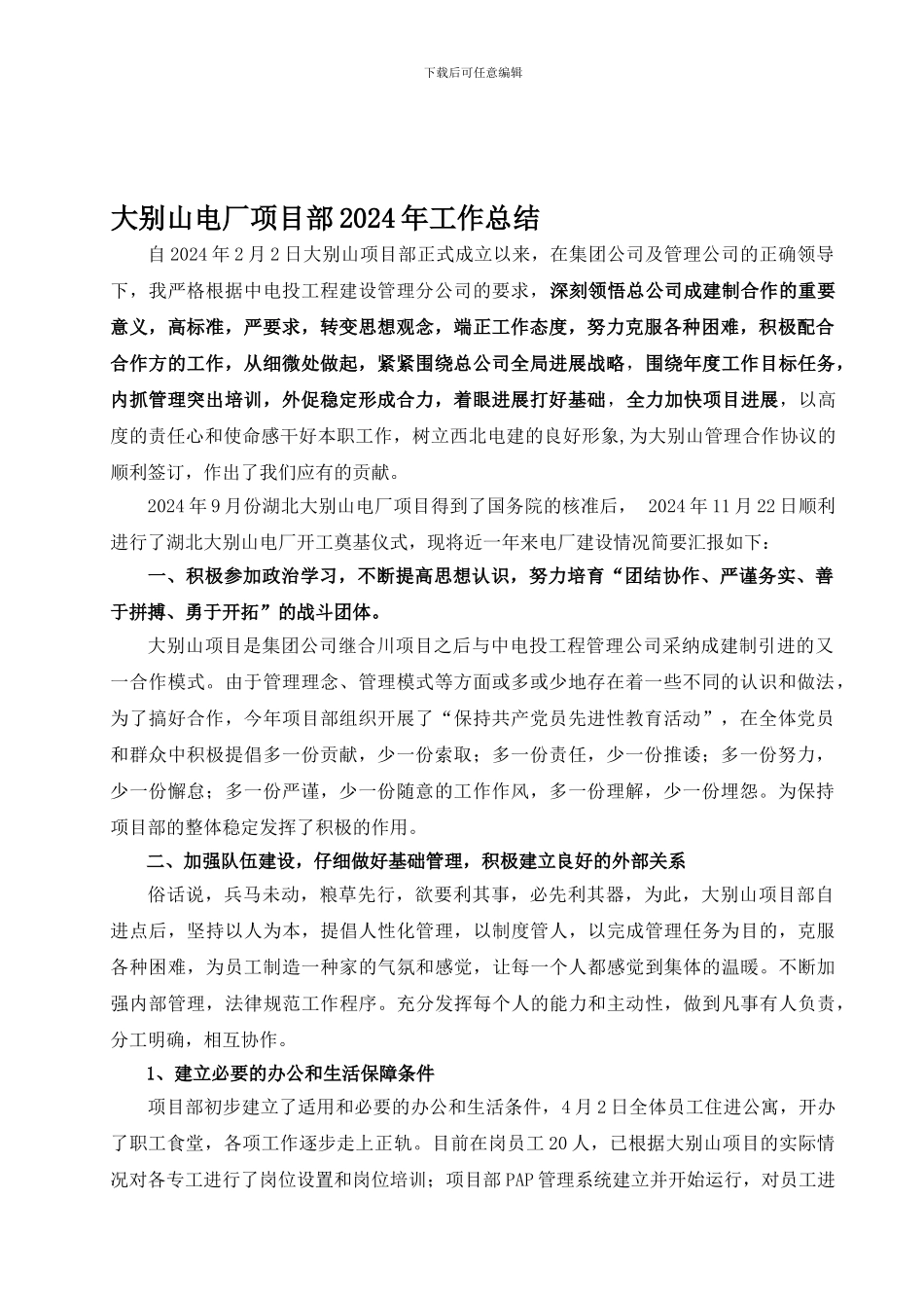大别山电厂项目部2024年工作总结_第1页