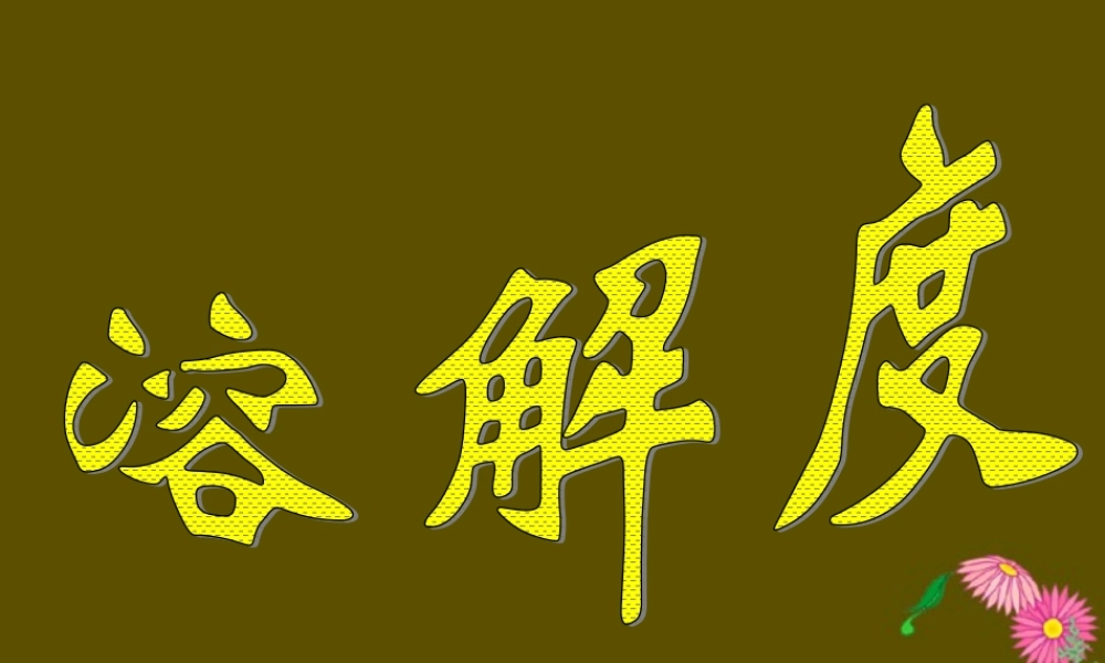 九年级化学溶解度课件 粤教版 课件