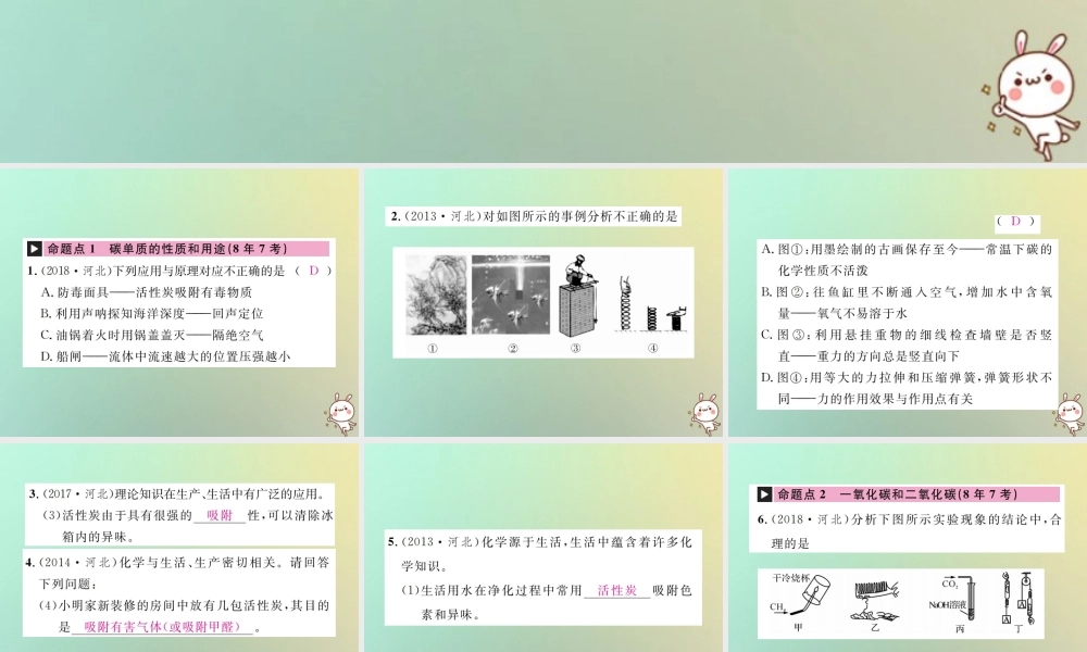 (河北专版)中考化学复习 主题一 身边的化学物质 第2讲 碳和碳的氧化物课件