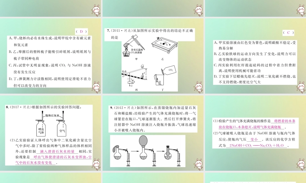 (河北专版)中考化学复习 主题一 身边的化学物质 第2讲 碳和碳的氧化物课件